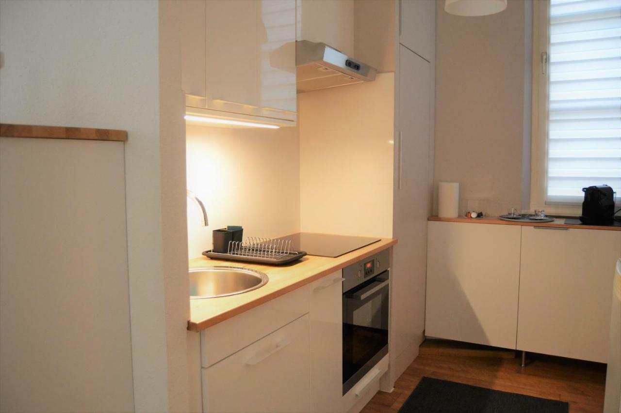 Apartment Le Voltaire Centre Colmar
