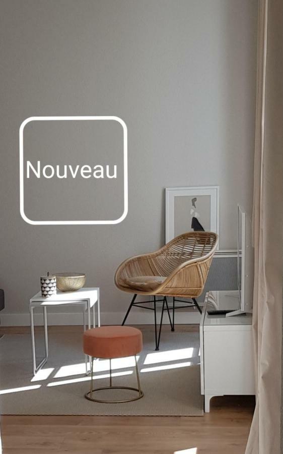 Le Voltaire Centre Apartment Colmar